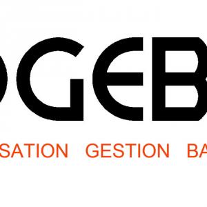 OGEBA