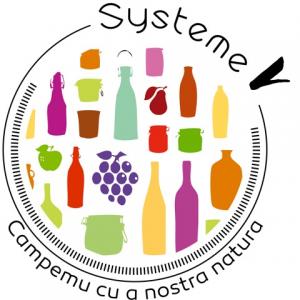 SYSTEME V