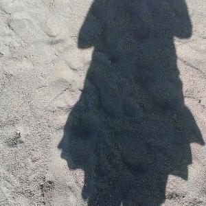 Sophie PRIOT