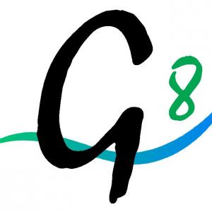 G8 CONSEIL