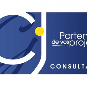 CJ CONSULTANTS